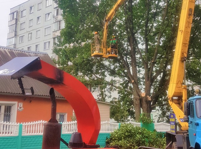 Обрезка веток. ул. Крылова