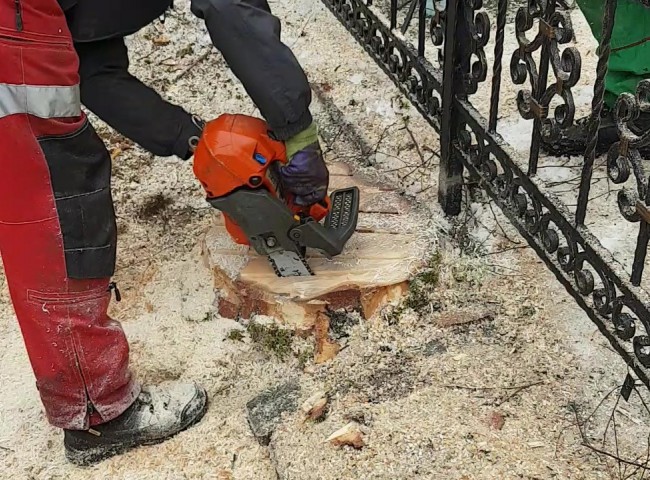 Химическое удаление пня на кладбище