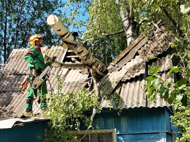 В процессе работы