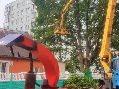 Обрезка ветвей